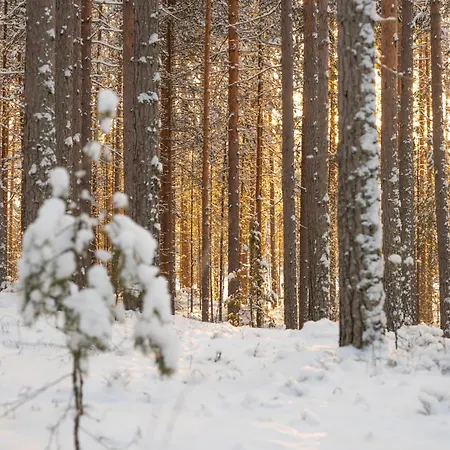 Hotelli Punkaharju 3* Punkaharju