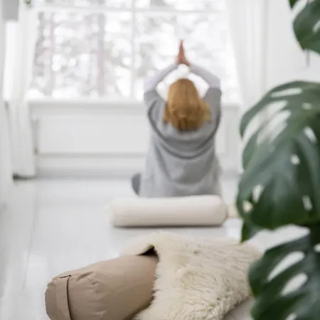 ホテル Hotelli Punkaharju プンカハルユ