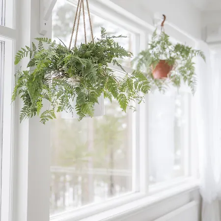 Hotelli Punkaharju 3* プンカハルユ