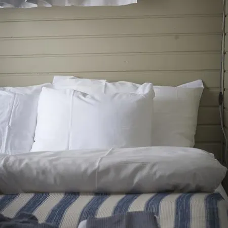 Hotelli Punkaharju Hotel