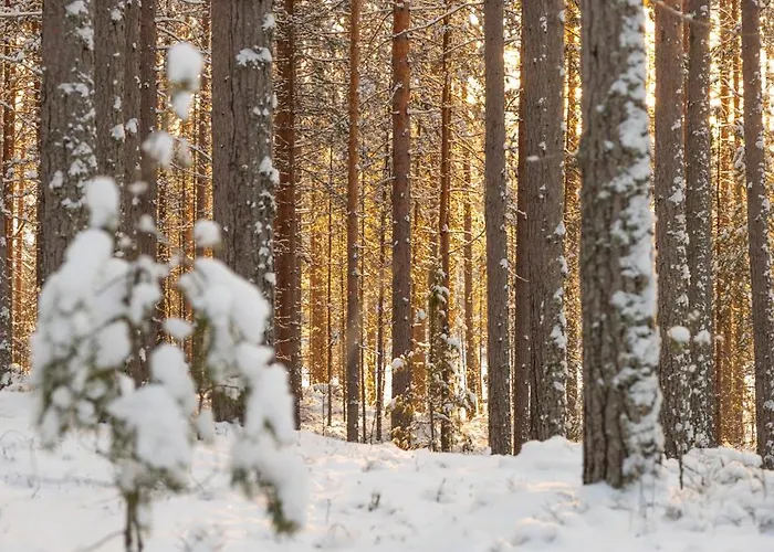 Hotelli Punkaharju 3* Punkaharju