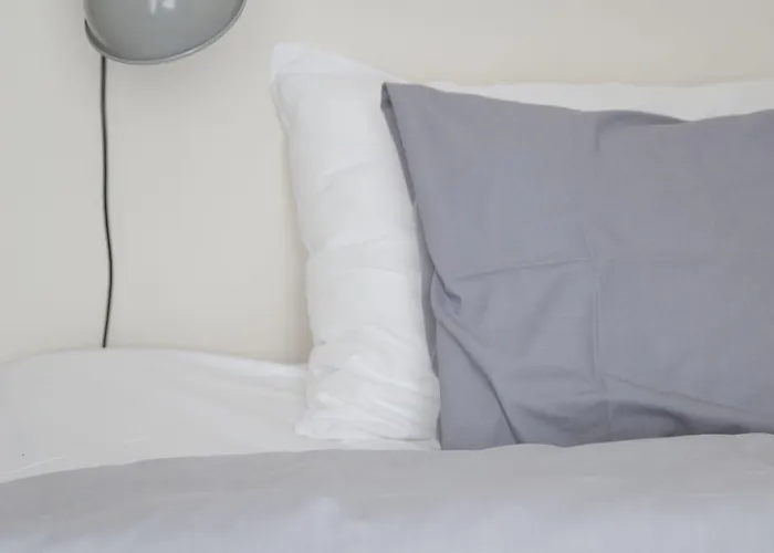 Hotel Hotelli Punkaharju