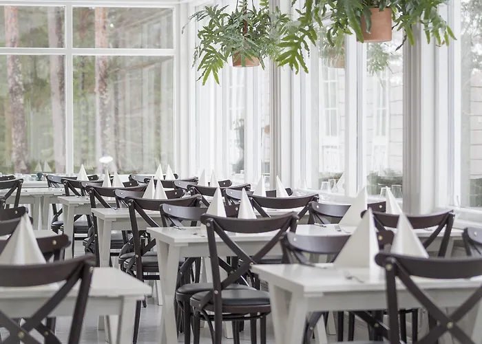 Hotel Hotelli Punkaharju 3*