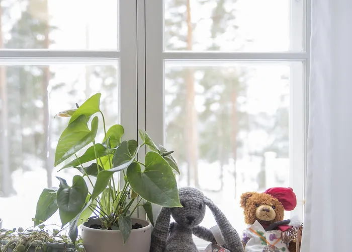 Hotelli Punkaharju 酒店 蓬卡哈尤