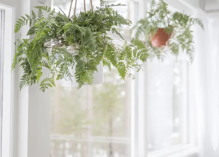 Hotelli Punkaharju 3* Punkaharju